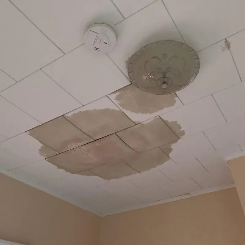 Ceiling Water Damage Repair in Cass County, ND