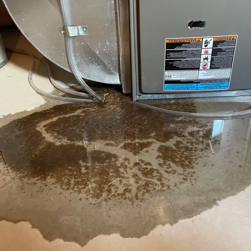 Pipe Burst and Leak Restoration in Cass County, ND