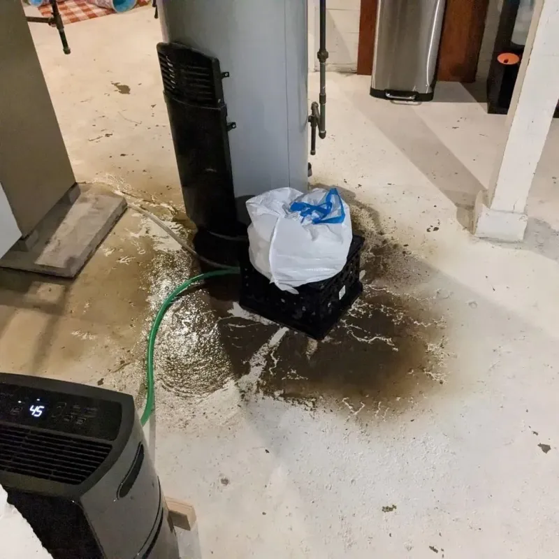 Sewage Backup Cleanup Service in Cass County, ND